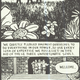 Illustration for article titled Interview: Zak Sally of La Mano & Low